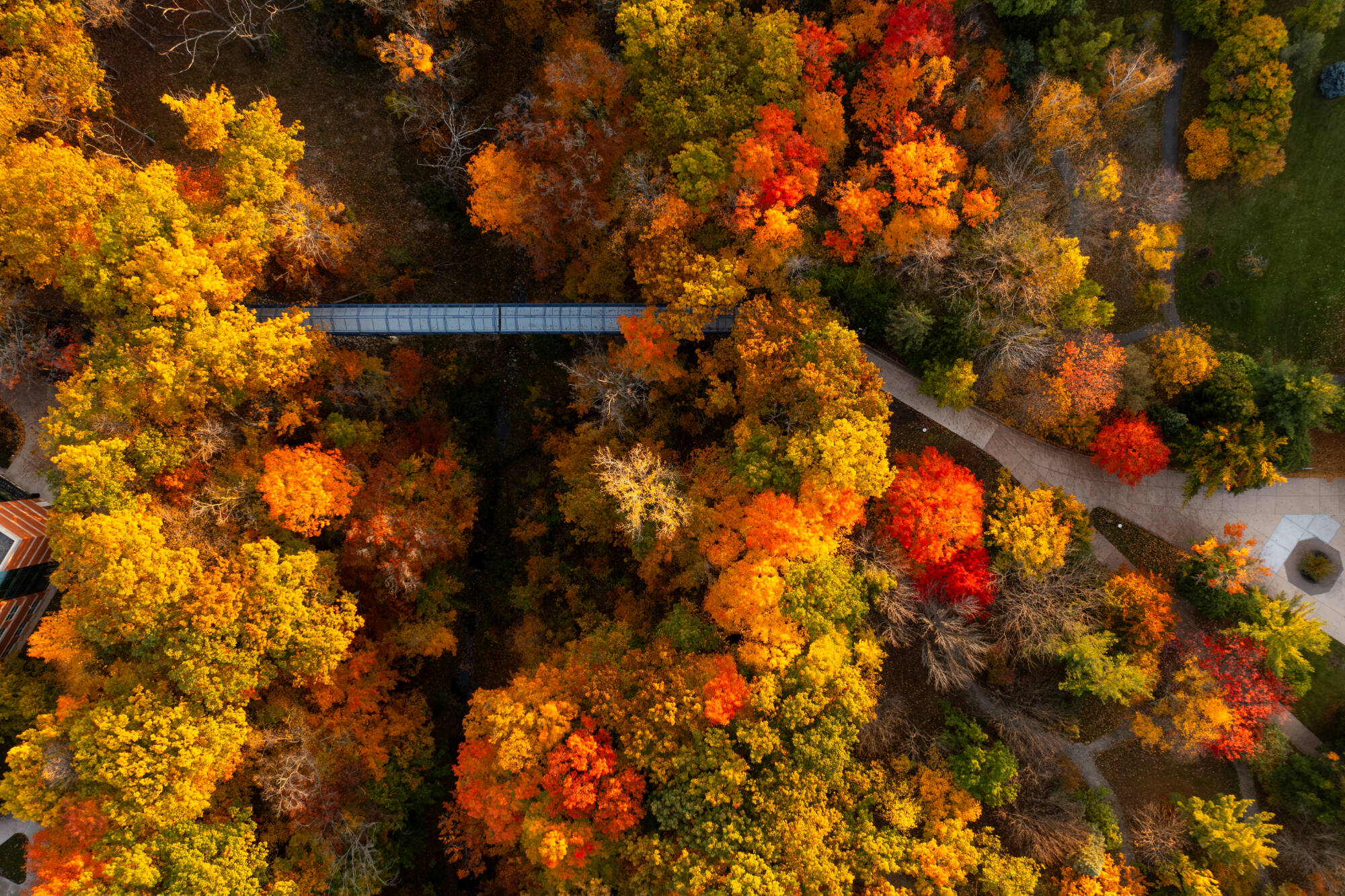 Aerial view of little mac bridge in the fall